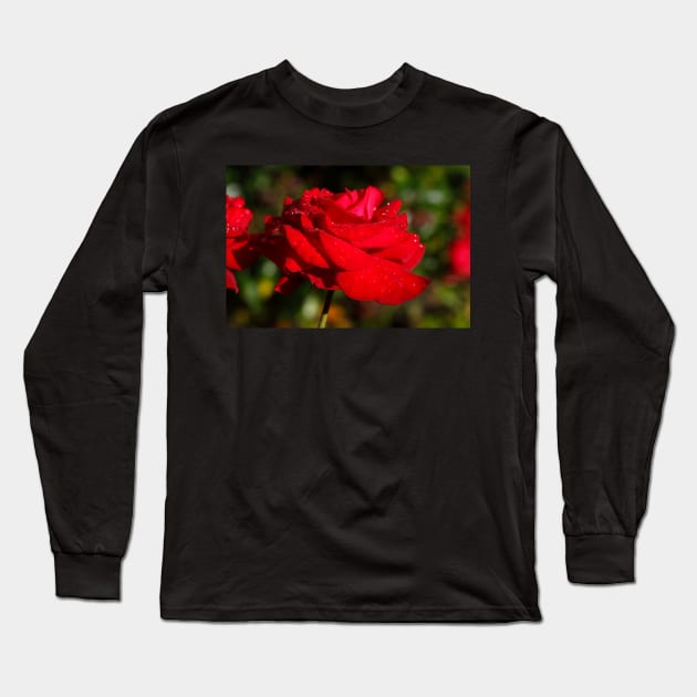 Red Hybrid Tea, Rose, Dewdrops, Flower Long Sleeve T-Shirt by Kruegerfoto